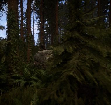 Sons Of The Forest Screenshot 4