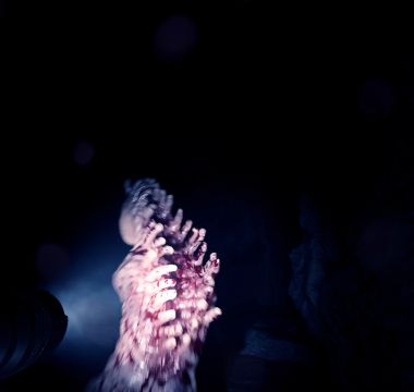 Sons Of The Forest Screenshot 7