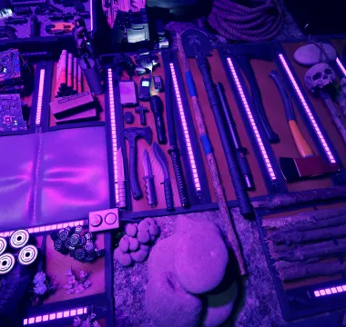 Sons Of The Forest Screenshot 8