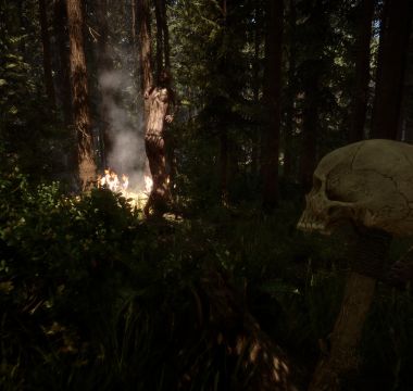 Sons Of The Forest Screenshot 9